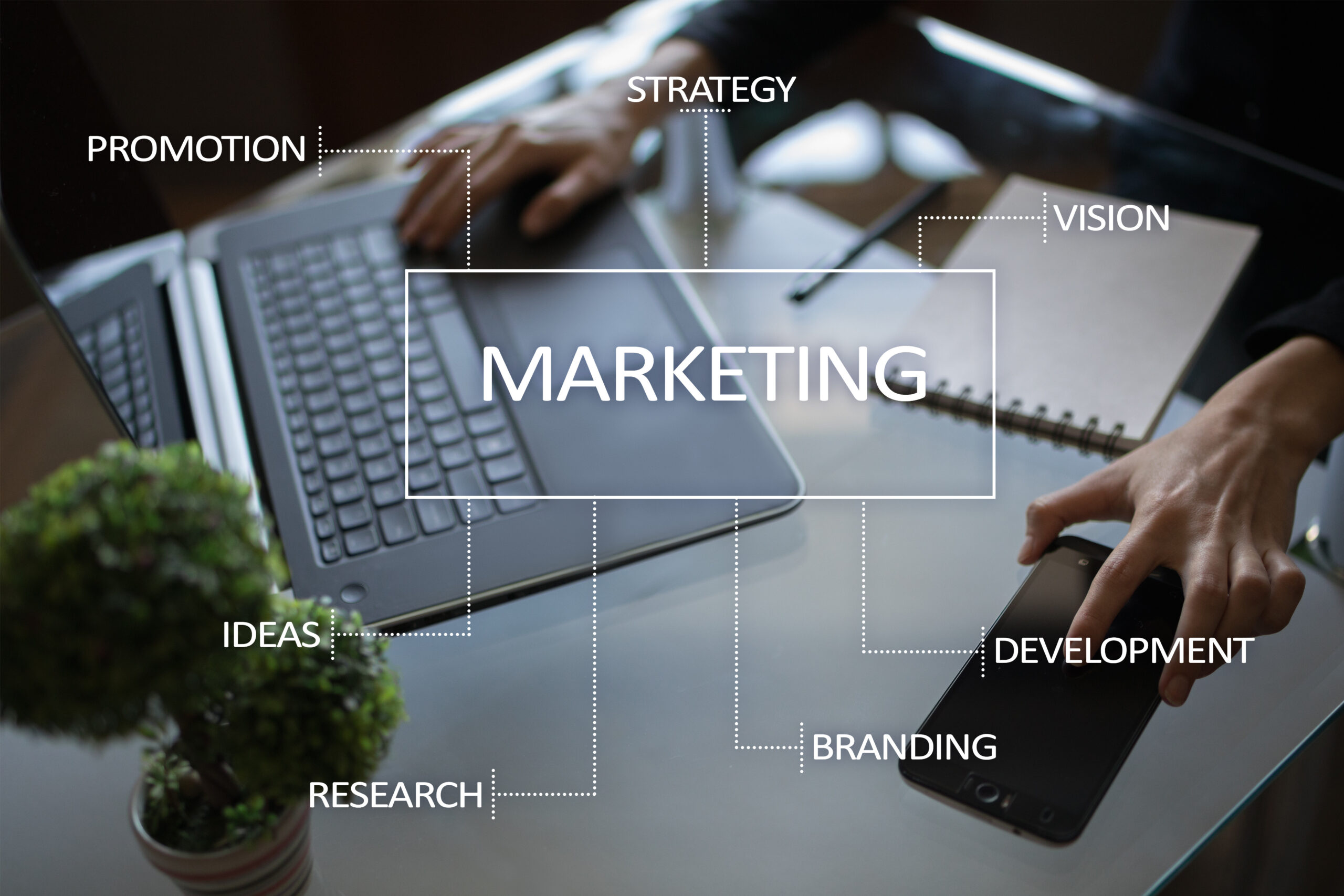 Maketing & Consulting